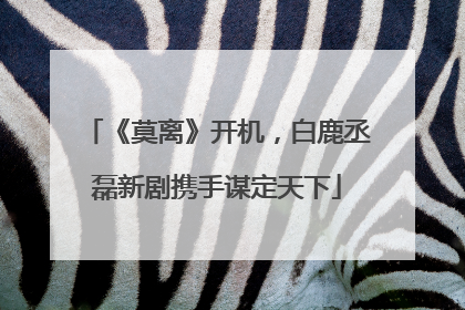 《莫离》开机，白鹿丞磊新剧携手谋定天下