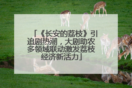 《长安的荔枝》引追剧热潮，大剧助农多领域联动激发荔枝经济新活力