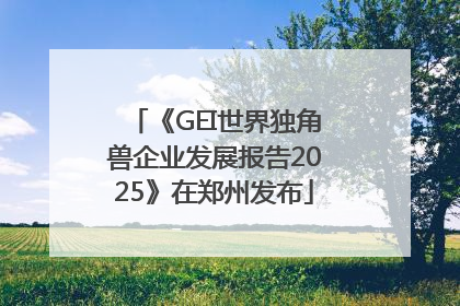 《GEI世界独角兽企业发展报告2025》在郑州发布