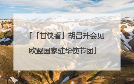 「甘快看」胡昌升会见欧盟国家驻华使节团