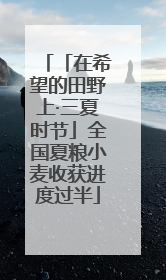 「在希望的田野上·三夏时节」全国夏粮小麦收获进度过半