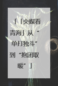 「央媒看青海」从“单打独斗”到“抱团取暖”