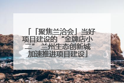 「聚焦兰洽会」当好项目建设的“金牌店小二” 兰州生态创新城加速推进项目建设