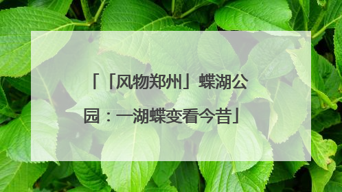 「风物郑州」蝶湖公园：一湖蝶变看今昔