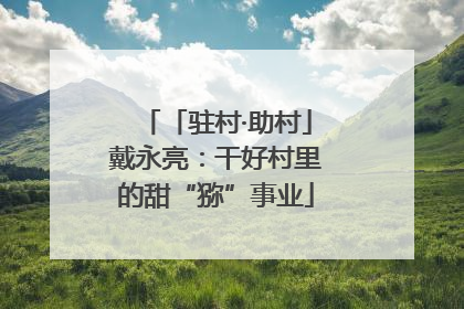 「驻村·助村」戴永亮：干好村里的甜“猕”事业