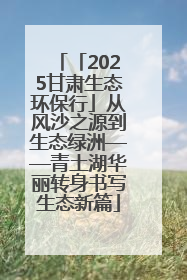 「2025甘肃生态环保行」从风沙之源到生态绿洲——青土湖华丽转身书写生态新篇