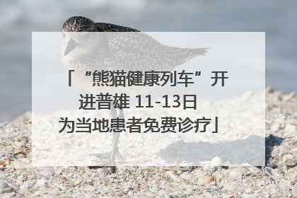 “熊猫健康列车”开进普雄 11-13日为当地患者免费诊疗