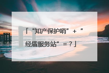 “知产保护哨”+“经盾服务站”=？