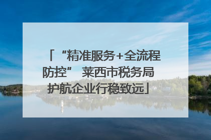 “精准服务+全流程防控” 莱西市税务局护航企业行稳致远