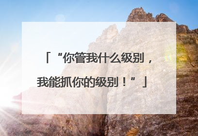 “你管我什么级别，我能抓你的级别！”