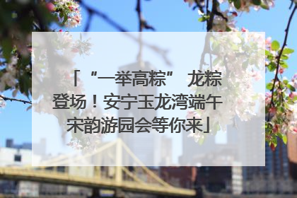 “一举高粽” 龙粽登场！安宁玉龙湾端午宋韵游园会等你来