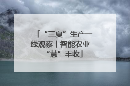 “三夏”生产一线观察丨智能农业“慧”丰收