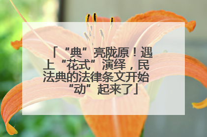 “典”亮陇原！遇上“花式”演绎，民法典的法律条文开始“动”起来了
