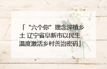 “六个你”理念深植乡土 辽宁省阜新市以民生温度激活乡村善治密码