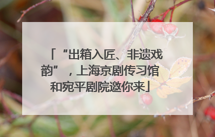 “出箱入匠、非遗戏韵”，上海京剧传习馆和宛平剧院邀你来