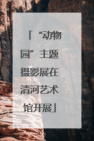 “动物园”主题摄影展在清河艺术馆开展