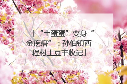 “土蛋蛋”变身“金疙瘩”：孙伯镇西程村土豆丰收记