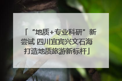 “地质+专业科研”新尝试 四川宜宾兴文石海打造地质旅游新标杆