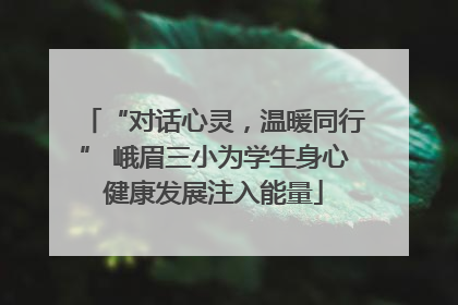 “对话心灵，温暖同行” 峨眉三小为学生身心健康发展注入能量