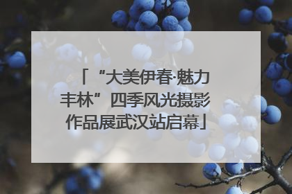 “大美伊春·魅力丰林”四季风光摄影作品展武汉站启幕