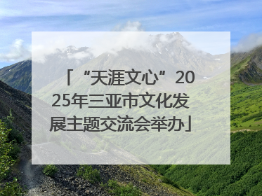 “天涯文心”2025年三亚市文化发展主题交流会举办