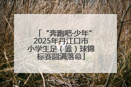“奔跑吧·少年”2025年丹江口市小学生足（篮）球锦标赛圆满落幕