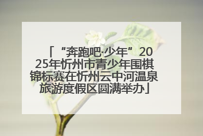 “奔跑吧·少年”2025年忻州市青少年围棋锦标赛在忻州云中河温泉旅游度假区圆满举办