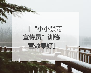 “小小禁毒宣传员”训练营效果好