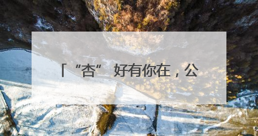 “杏” 好有你在，公益暖人心——2025 年第二届低保家庭杏树公益认领活动开启