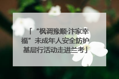 “枫调豫顺·汴家幸福”未成年人安全防护基层行活动走进兰考