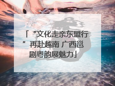 “文化走亲东盟行”再赴越南 广西邕剧粤韵展魅力