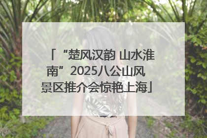 “楚风汉韵 山水淮南”2025八公山风景区推介会惊艳上海