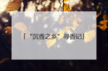 “沉香之乡”寻香记