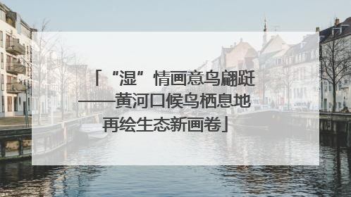 “湿”情画意鸟翩跹——黄河口候鸟栖息地再绘生态新画卷