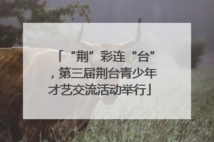“荆”彩连“台”，第三届荆台青少年才艺交流活动举行