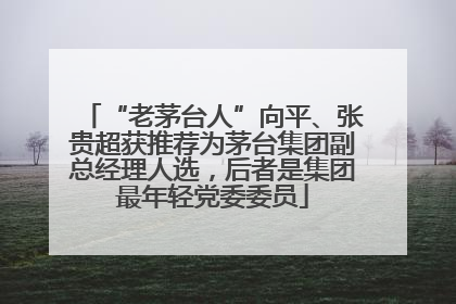“老茅台人”向平、张贵超获推荐为茅台集团副总经理人选，后者是集团最年轻党委委员