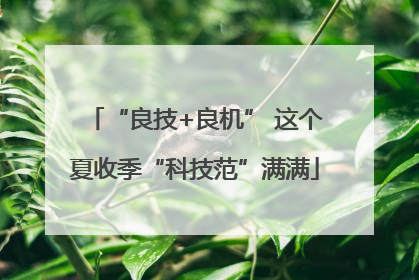 “良技+良机” 这个夏收季“科技范”满满