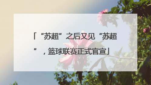 “苏超”之后又见“苏超”，篮球联赛正式官宣