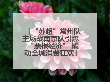 “苏超”常州队主场战南京队引爆“票根经济” 撬动全城消费狂欢