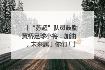 “苏超”队员鼓励黄桥足球小将：加油，未来属于你们！