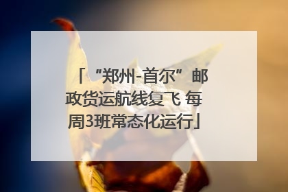 “郑州-首尔”邮政货运航线复飞 每周3班常态化运行