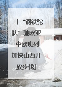 “钢铁驼队”驰欧亚 中欧班列加快山西开放步伐