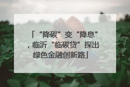 “降碳”变“降息”，临沂“临碳贷”探出绿色金融创新路