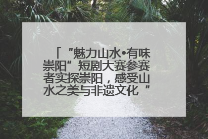 “魅力山水•有味崇阳”短剧大赛参赛者实探崇阳，感受山水之美与非遗文化“提琴戏”魅力