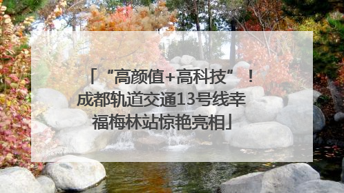 “高颜值+高科技”！成都轨道交通13号线幸福梅林站惊艳亮相