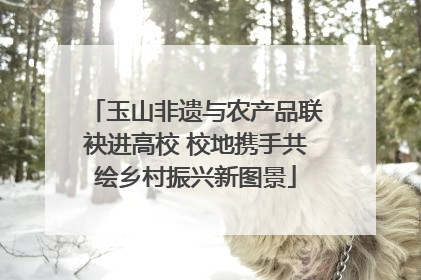 玉山非遗与农产品联袂进高校 校地携手共绘乡村振兴新图景