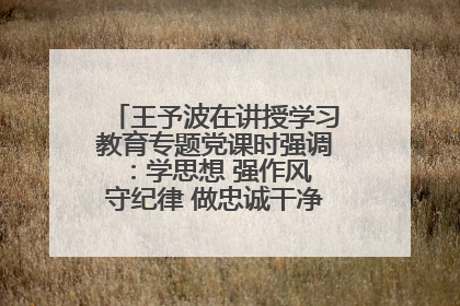 王予波在讲授学习教育专题党课时强调：学思想 强作风 守纪律 做忠诚干净担当的共产党员