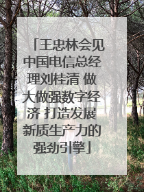 王忠林会见中国电信总经理刘桂清 做大做强数字经济 打造发展新质生产力的强劲引擎