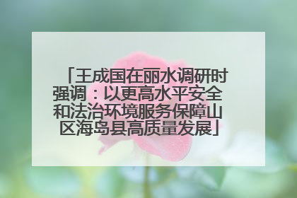 王成国在丽水调研时强调：以更高水平安全和法治环境服务保障山区海岛县高质量发展