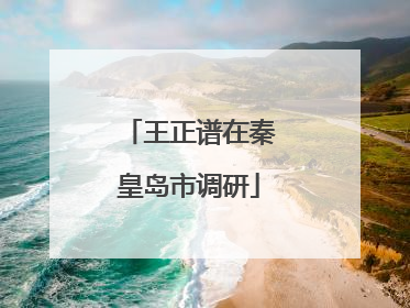 王正谱在秦皇岛市调研
